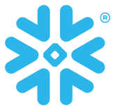 Snowflake Logo Icon